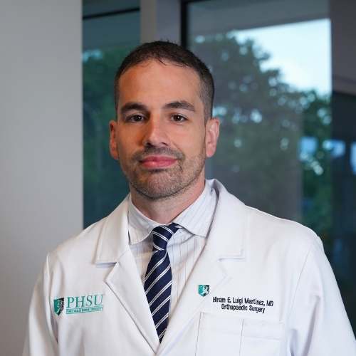 Dr. Hiram E. Luigi Martinez, Research Fellow