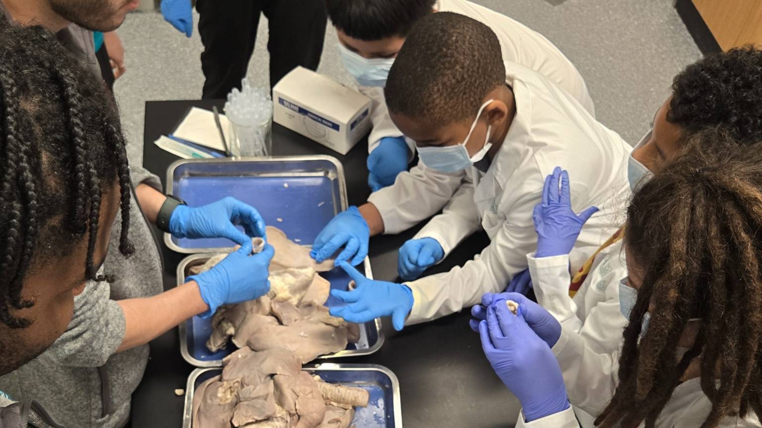 Mini Medical School Students Hands On Anatomy Education